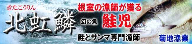 北海道根室の漁師が直接ネット販売 鮭しゃけ 秋刀魚さんま 鮭児ケイジ 菊地漁業 ねむろ